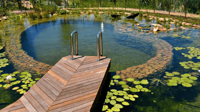 ¿Cómo funcionan las piscinas ecológicas?