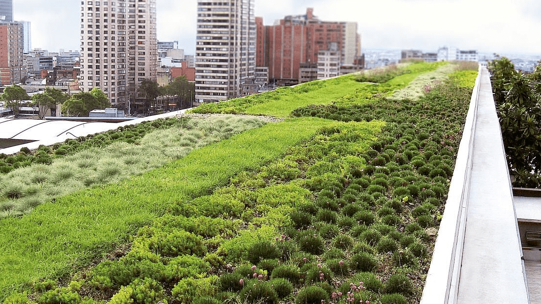 Edificios verdes (1)