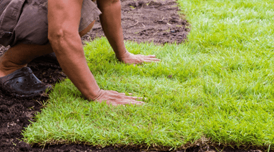 Edificios verdes: ¿Qué son y cuáles son sus beneficios?