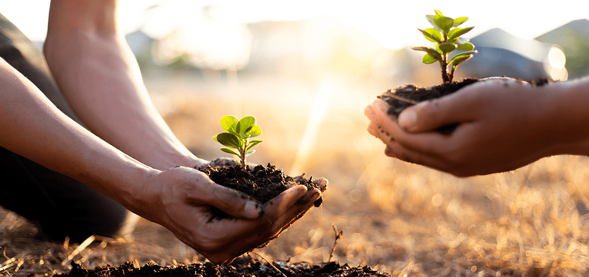 Educación y conciencia en comunidades sustentables 1 (1)