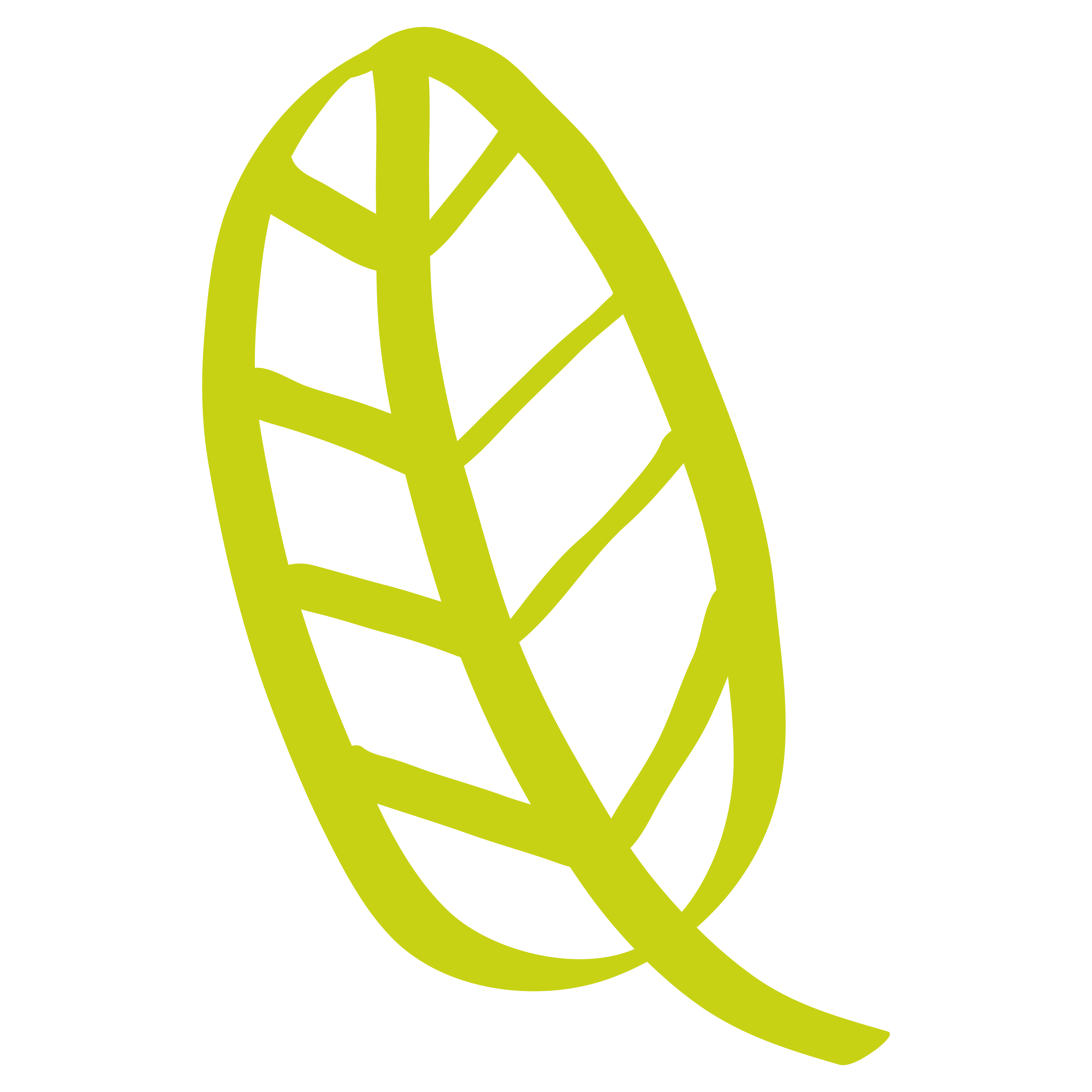 HOJA - vector-03