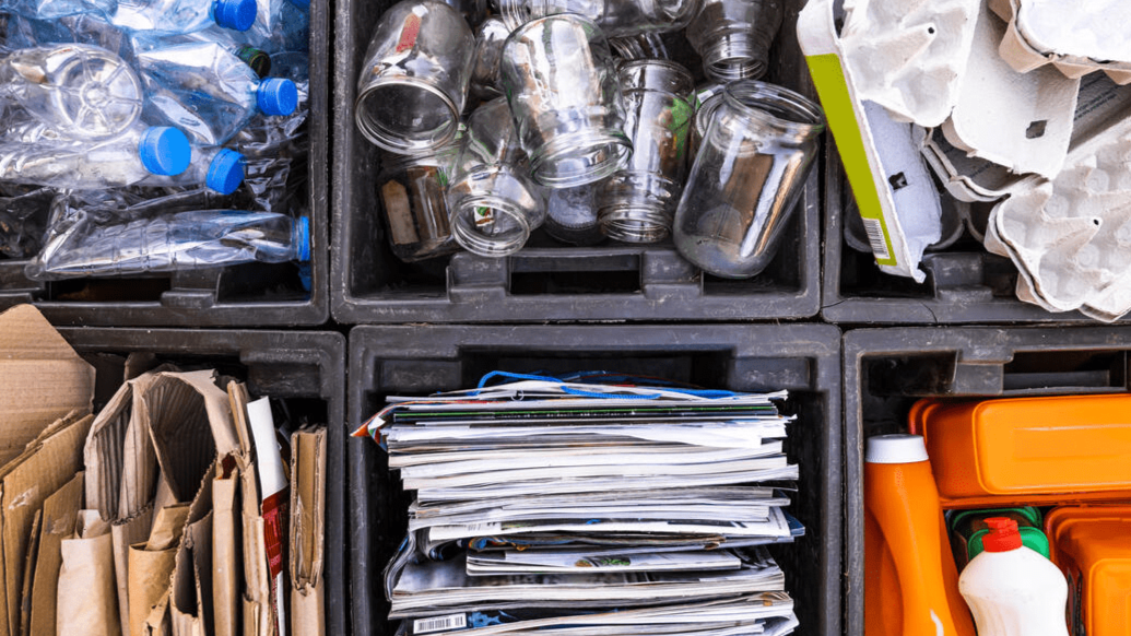 Importancia del consumo sustentable 1 (1)