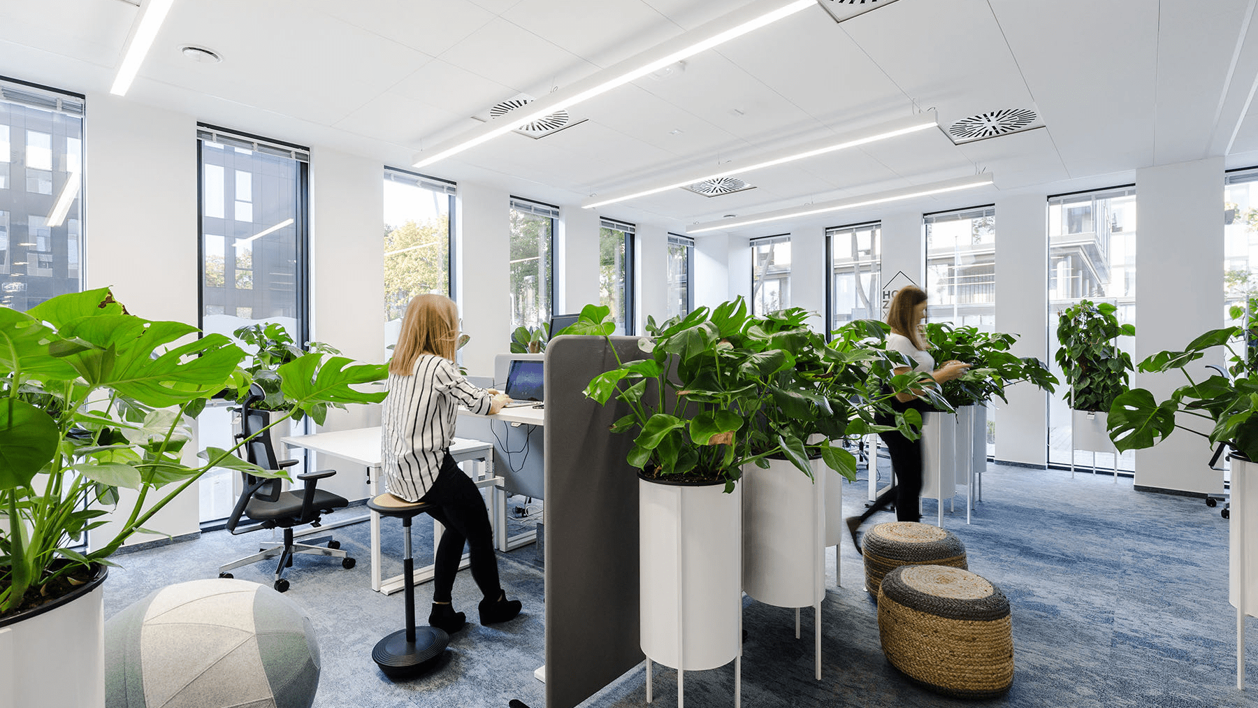 Oficinas verdes 1 (1)