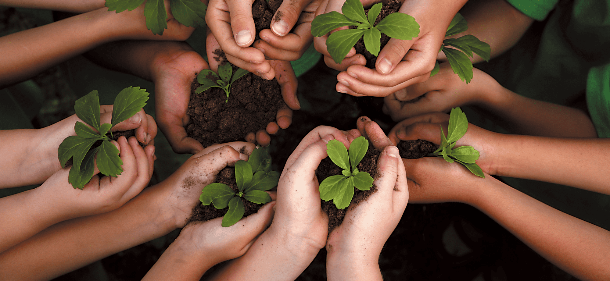 Que es una comunidad sustentable y cómo se puede lograr 1 (1)